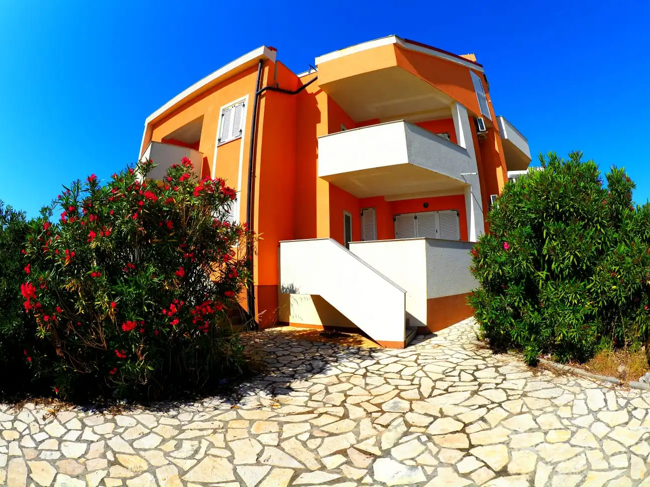 Standard Apartment